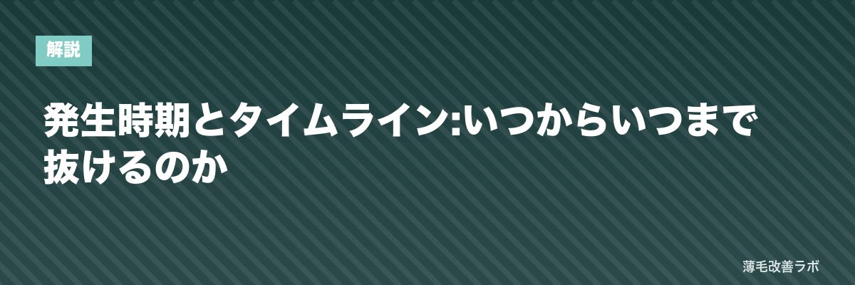 発生時期とタイムライン:いつからいつまで抜けるのか | 薄毛改善ラボ