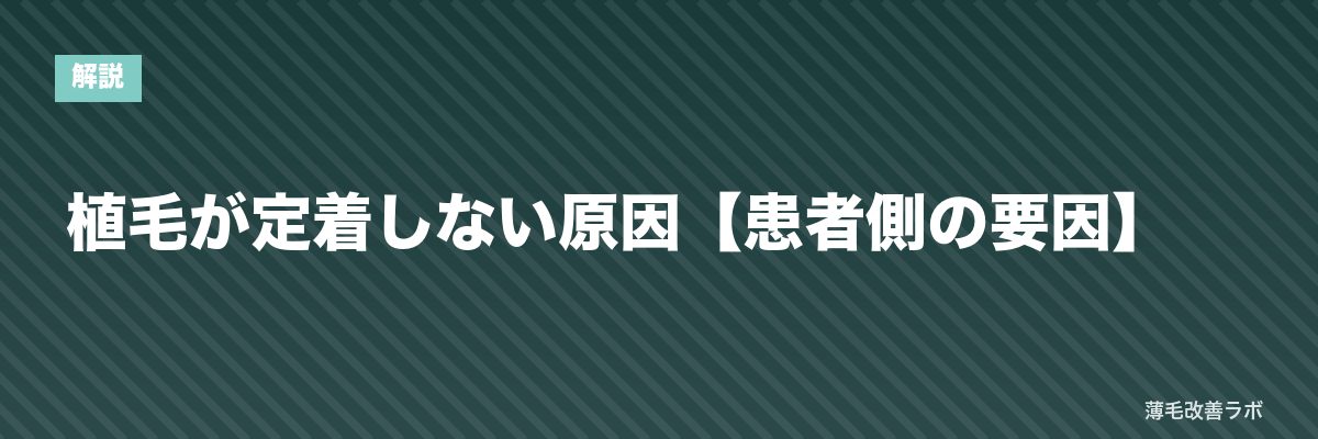 植毛が定着しない原因【患者側の要因】 | 薄毛改善ラボ