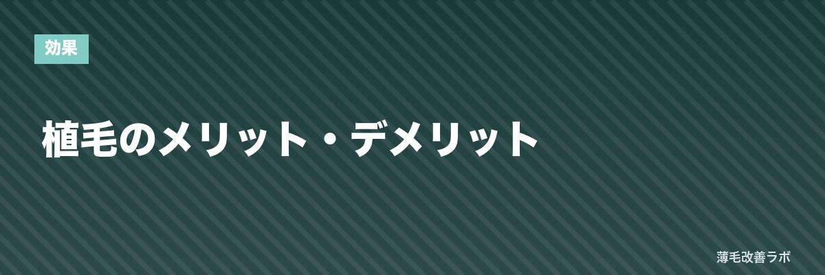 植毛のメリット・デメリット | 薄毛改善ラボ