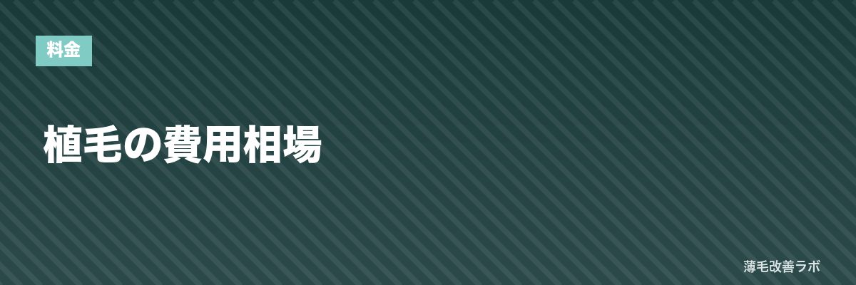 植毛の費用相場 | 薄毛改善ラボ
