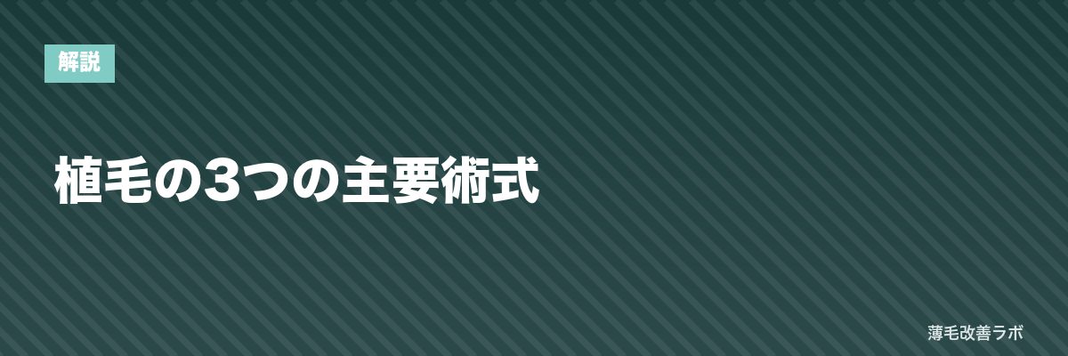 植毛の3つの主要術式 | 薄毛改善ラボ