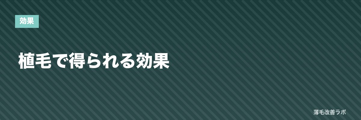 植毛で得られる効果 | 薄毛改善ラボ