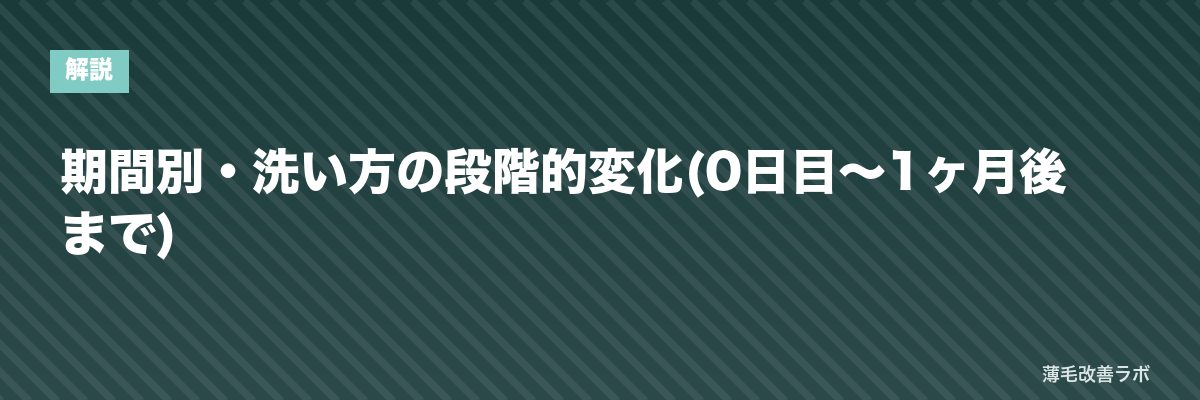 期間別・洗い方の段階的変化(0日目〜1ヶ月後まで) | 薄毛改善ラボ