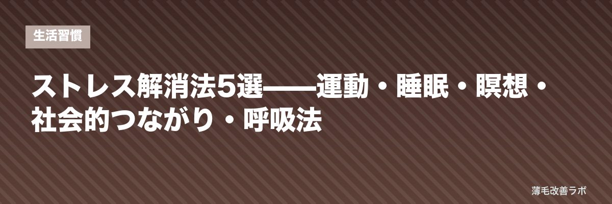 ストレス解消法5選——運動・睡眠・瞑想・社会的つながり・呼吸法 | 薄毛改善ラボ