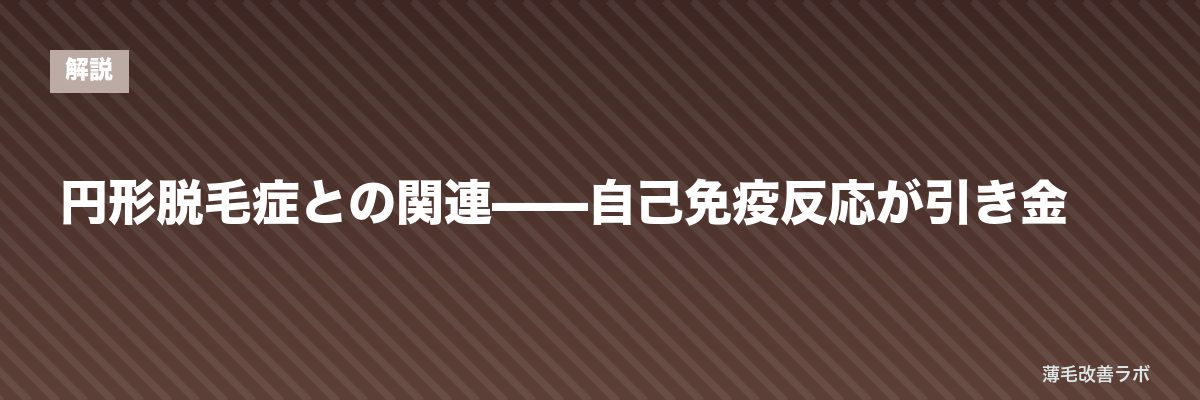円形脱毛症との関連——自己免疫反応が引き金 | 薄毛改善ラボ