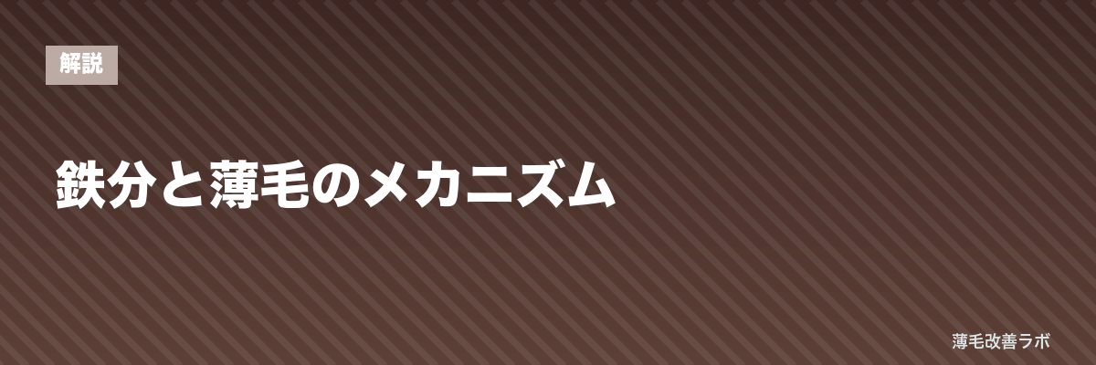 鉄分と薄毛のメカニズム | 薄毛改善ラボ