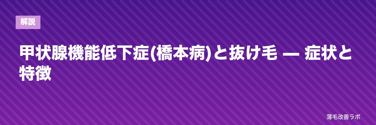 甲状腺機能低下症(橋本病)と抜け毛 — 症状と特徴 | 薄毛改善ラボ