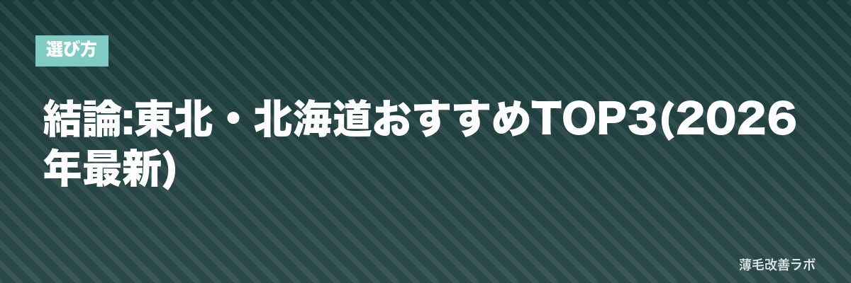 結論:東北・北海道おすすめTOP3(2026年最新) | 薄毛改善ラボ