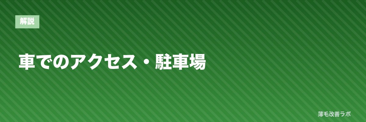 車でのアクセス・駐車場 | 薄毛改善ラボ