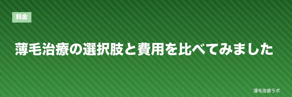 薄毛治療の選択肢と費用を比べてみました | 薄毛改善ラボ