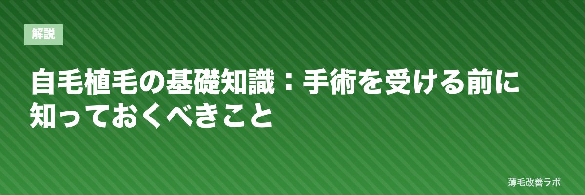自毛植毛の基礎知識：手術を受ける前に知っておくべきこと | 薄毛改善ラボ