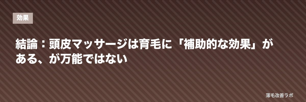 結論：頭皮マッサージは育毛に「補助的な効果」がある、が万能ではない | 薄毛改善ラボ
