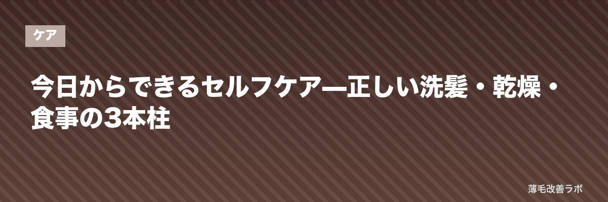 今日からできるセルフケア—正しい洗髪・乾燥・食事の3本柱 | 薄毛改善ラボ