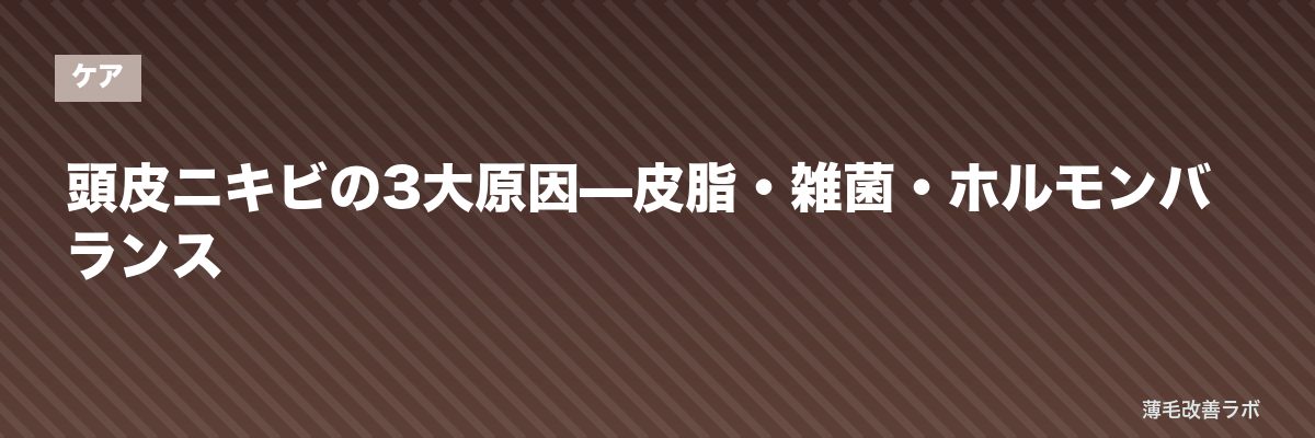 頭皮ニキビの3大原因—皮脂・雑菌・ホルモンバランス | 薄毛改善ラボ