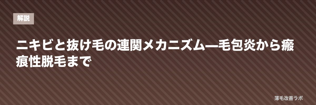 ニキビと抜け毛の連関メカニズム—毛包炎から瘢痕性脱毛まで | 薄毛改善ラボ