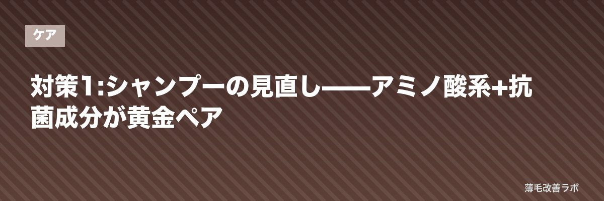 対策1:シャンプーの見直し——アミノ酸系+抗菌成分が黄金ペア | 薄毛改善ラボ