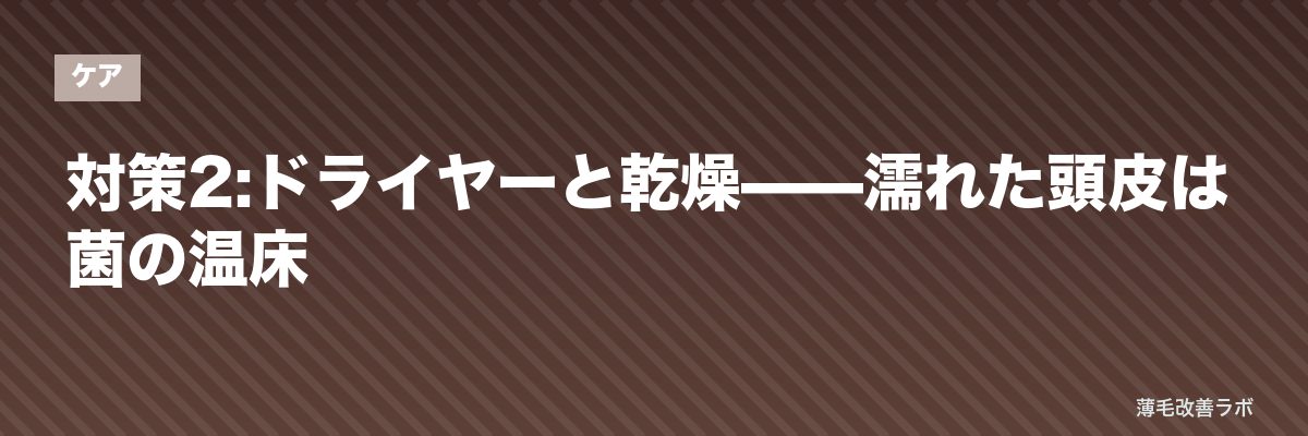 対策2:ドライヤーと乾燥——濡れた頭皮は菌の温床 | 薄毛改善ラボ