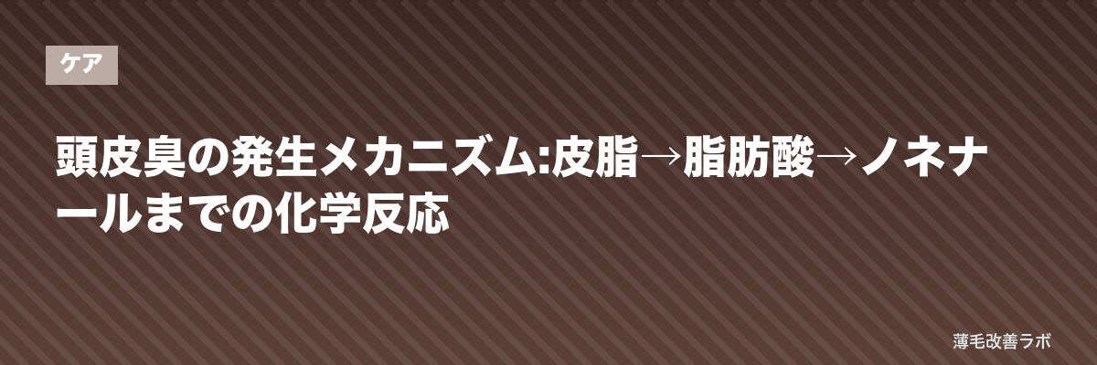 頭皮臭の発生メカニズム:皮脂→脂肪酸→ノネナールまでの化学反応 | 薄毛改善ラボ