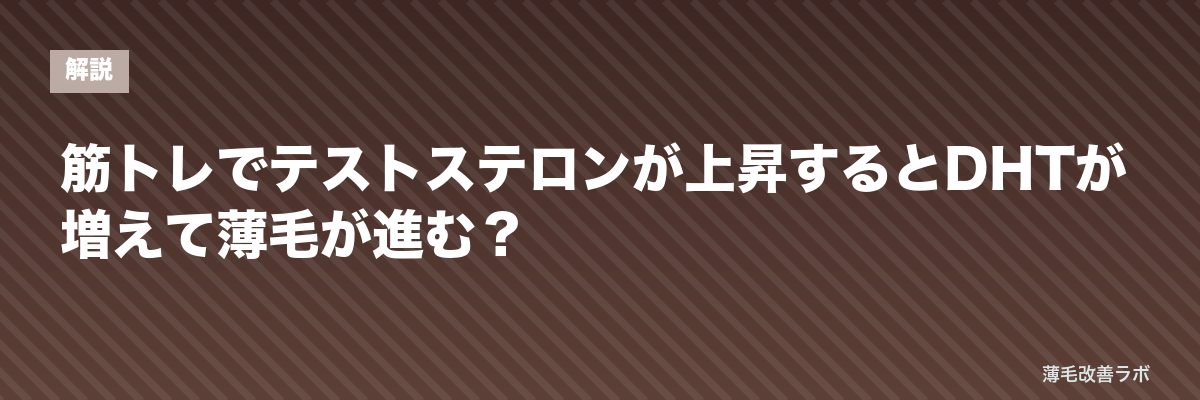 筋トレでテストステロンが上昇するとDHTが増えて薄毛が進む？ | 薄毛改善ラボ