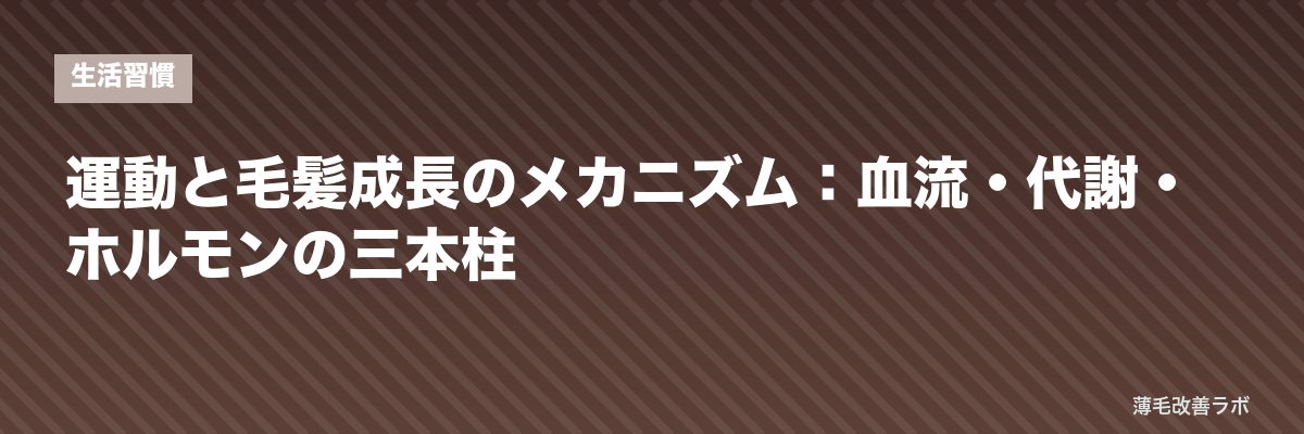 運動と毛髪成長のメカニズム：血流・代謝・ホルモンの三本柱 | 薄毛改善ラボ