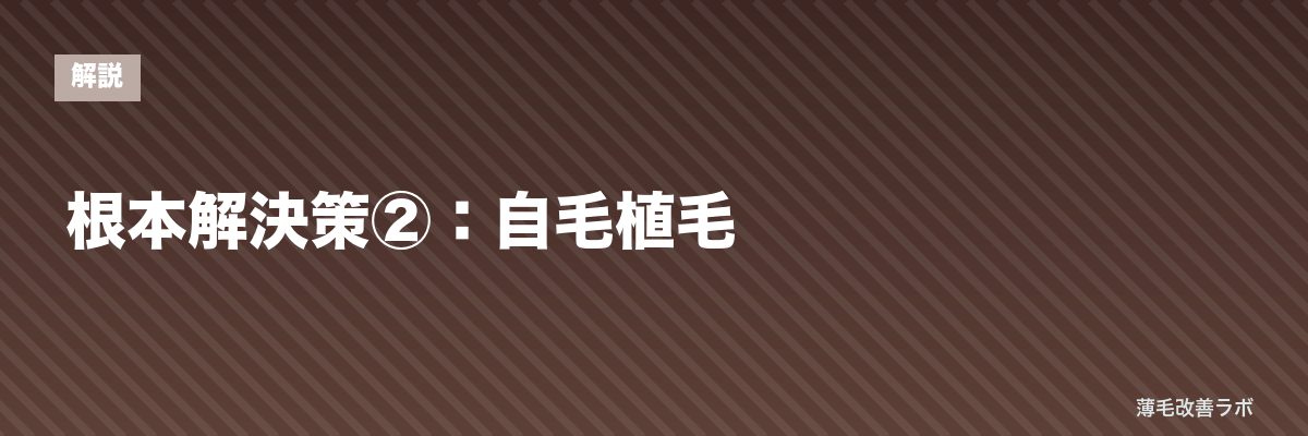 根本解決策②：自毛植毛 | 薄毛改善ラボ