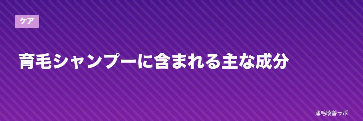 育毛シャンプーに含まれる主な成分 | 薄毛改善ラボ