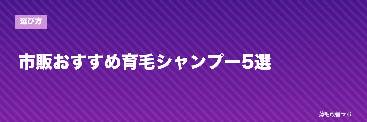 市販おすすめ育毛シャンプー5選 | 薄毛改善ラボ