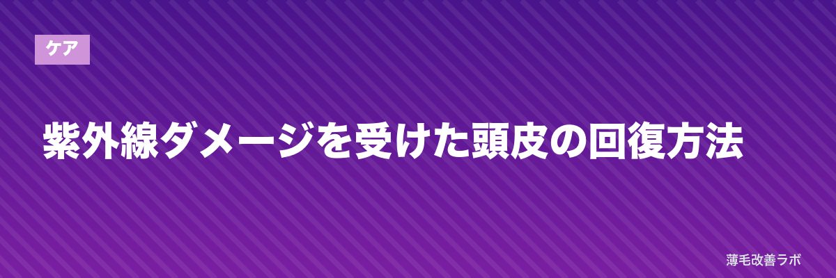 紫外線ダメージを受けた頭皮の回復方法 | 薄毛改善ラボ