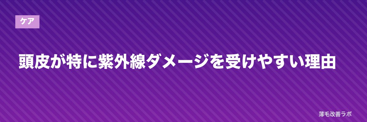 頭皮が特に紫外線ダメージを受けやすい理由 | 薄毛改善ラボ
