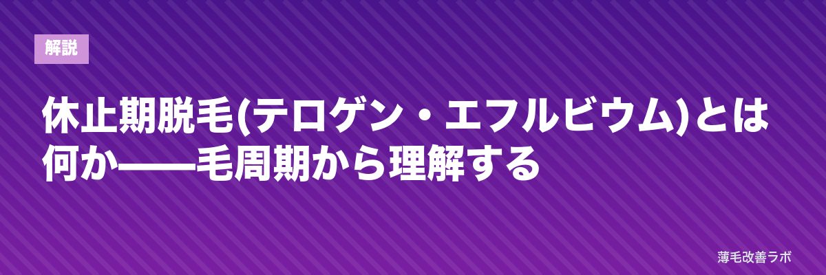 休止期脱毛(テロゲン・エフルビウム)とは何か——毛周期から理解する | 薄毛改善ラボ