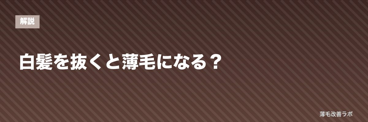 白髪を抜くと薄毛になる？ | 薄毛改善ラボ
