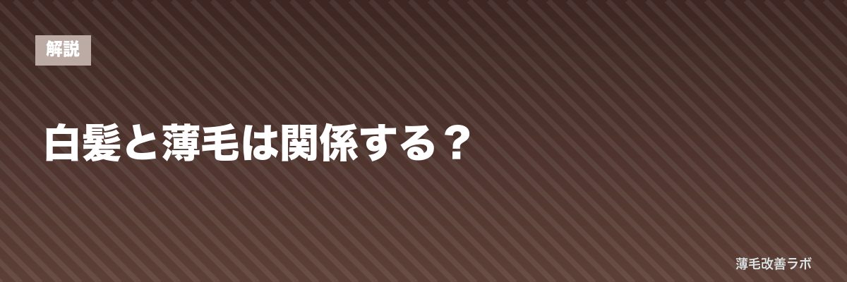 白髪と薄毛は関係する？ | 薄毛改善ラボ