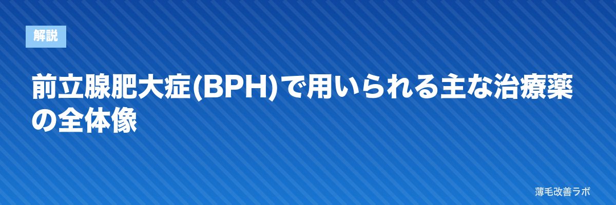 前立腺肥大症(BPH)で用いられる主な治療薬の全体像 | 薄毛改善ラボ