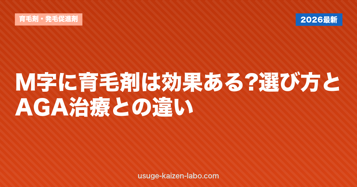 M字に育毛剤は効果ある?選び方とAGA治療との違い【2026年】