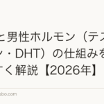 AGAと男性ホルモン（テストステロン・DHT）の仕組みをわかりやすく解説【2026年】