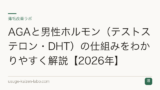 AGAと男性ホルモン（テストステロン・DHT）の仕組みをわかりやすく解説【2026年】