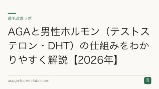 AGAと男性ホルモン（テストステロン・DHT）の仕組みをわかりやすく解説【2026年】