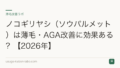 ノコギリヤシ（ソウパルメット）は薄毛・AGA改善に効果ある？【2026年】