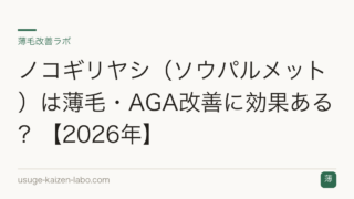 ノコギリヤシ（ソウパルメット）は薄毛・AGA改善に効果ある？【2026年】