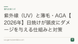 紫外線（UV）と薄毛・AGA【2026年】日焼けが頭皮にダメージを与える仕組みと対策