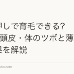 つぼ押しで育毛できる?【2026年】頭皮・体のツボと薄毛改善効果を解説