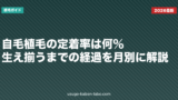自毛植毛の定着率は何％？生え揃うまでの経過を月別に解説