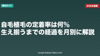 自毛植毛の定着率は何％？生え揃うまでの経過を月別に解説