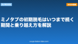 ミノタブの初期脱毛はいつまで続く？期間と乗り越え方を解説