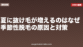 夏に抜け毛が増えるのはなぜ?季節性脱毛の原因と対策
