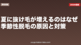 夏に抜け毛が増えるのはなぜ？季節性脱毛の原因と対策