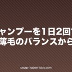 夏はシャンプーを1日2回すべき?皮脂と薄毛のバランスから解説