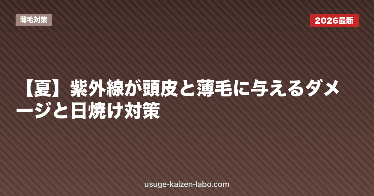 【夏】紫外線が頭皮と薄毛に与えるダメージと日焼け対策