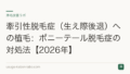 牽引性脱毛症(生え際後退)への植毛:ポニーテール脱毛症の対処法【2026年】