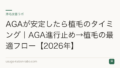 AGAが安定したら植毛のタイミング|AGA進行止め→植毛の最適フロー【2026年】